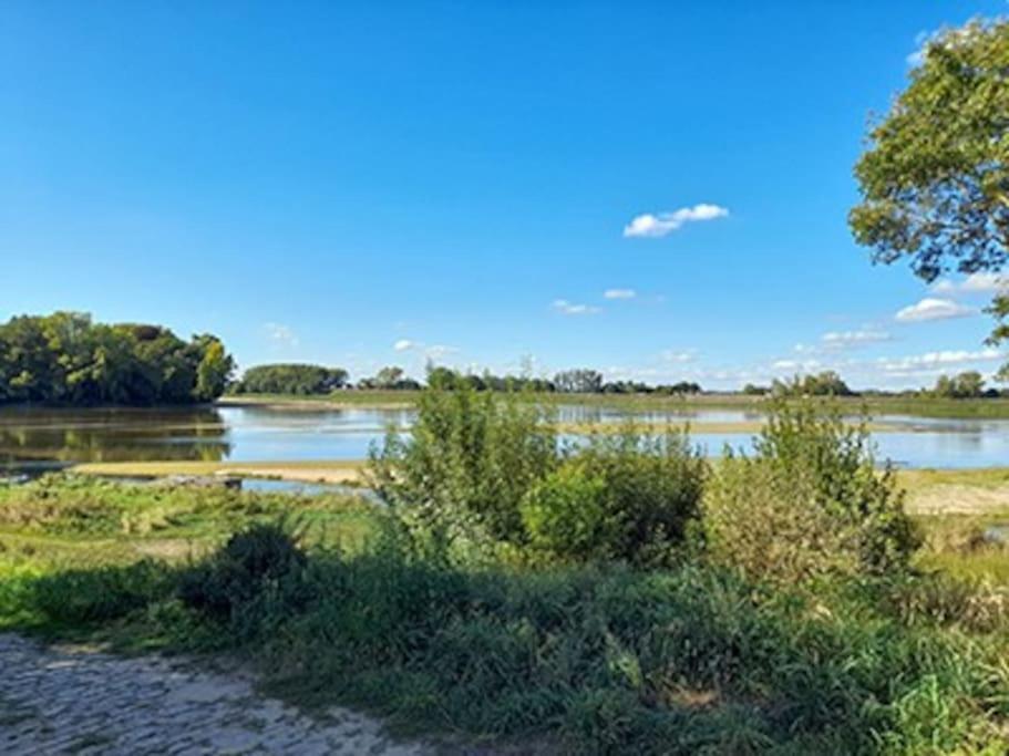 Gite En Bord De Loire Blaison-Saint-Sulpice Exteriér fotografie