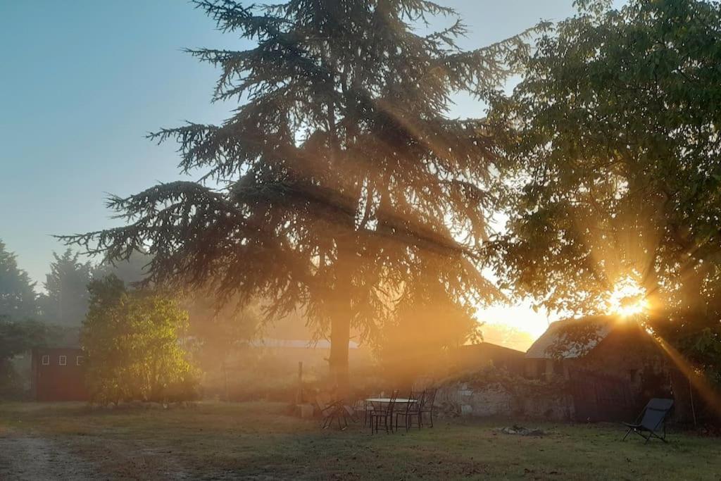 Gite En Bord De Loire Blaison-Saint-Sulpice Exteriér fotografie